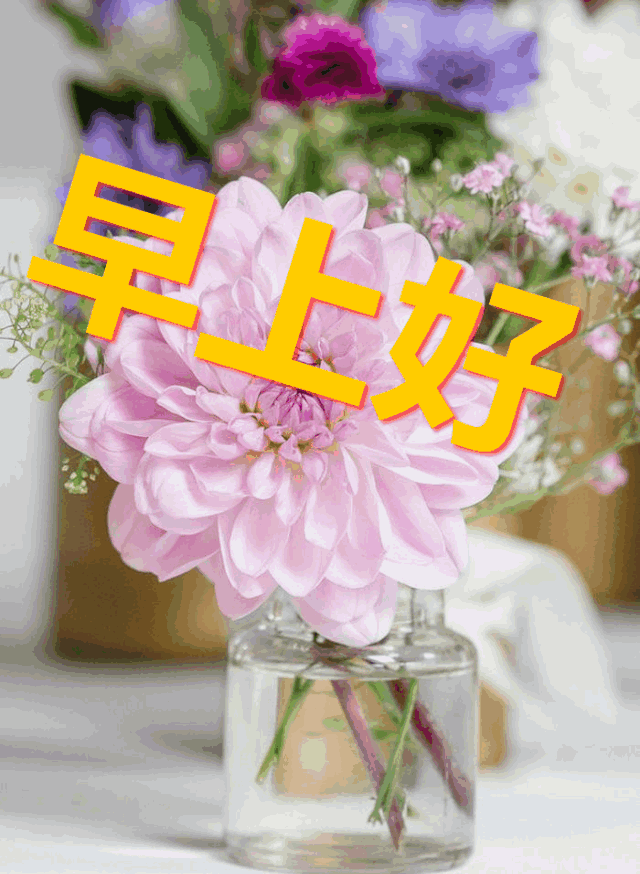 短信空白对话框：揭秘手机通讯中的神秘